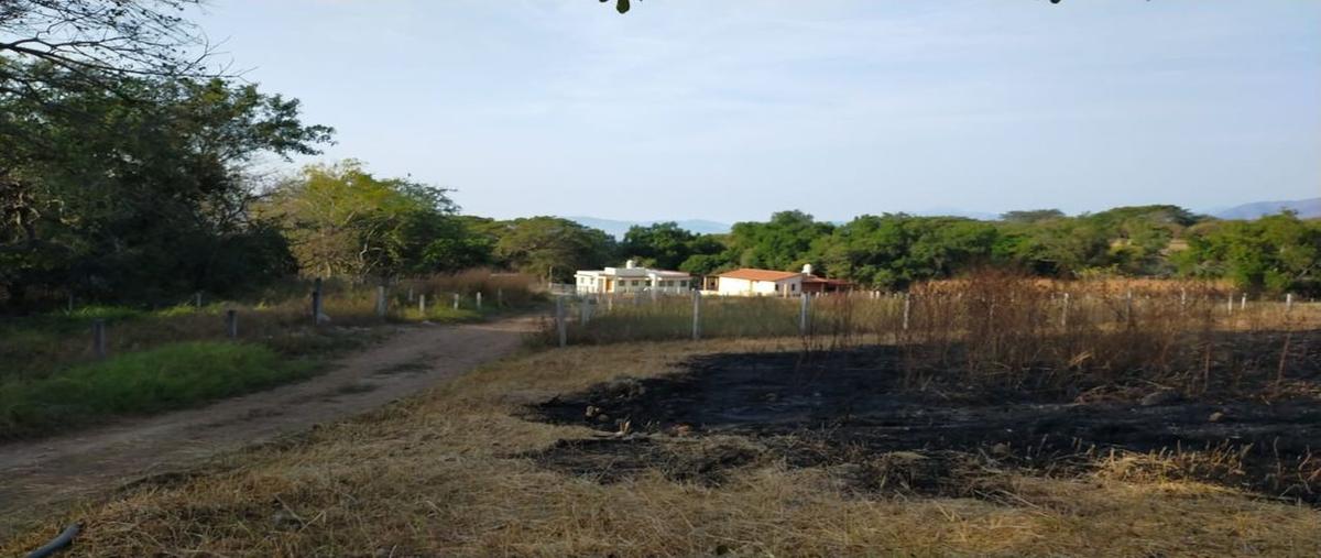 Foto de terreno habitacional en rustico san martin 0, suchitlán, comala, colima, 17338381 foto 02 Foto de terreno habitacional en venta en rustico san martin 0, suchitlán, comala, colima, 17338381 No. 02