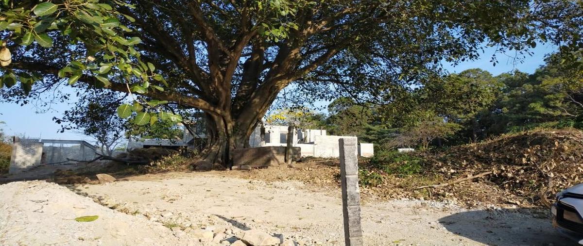 Foto de terreno habitacional en rustico san martin 0, suchitlán, comala, colima, 0 foto 03 Foto de terreno habitacional en venta en rustico san martin 0, suchitlán, comala, colima, 0 No. 03