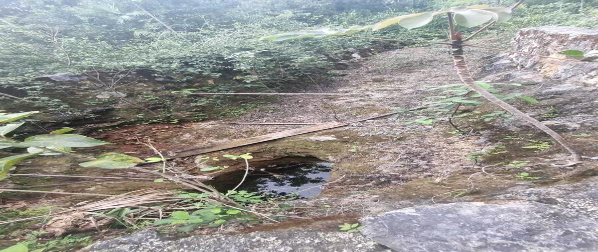 Foto de terreno comercial en venta en ruta de los cenotes , puerto morelos, puerto morelos, quintana roo, 0 No. 05