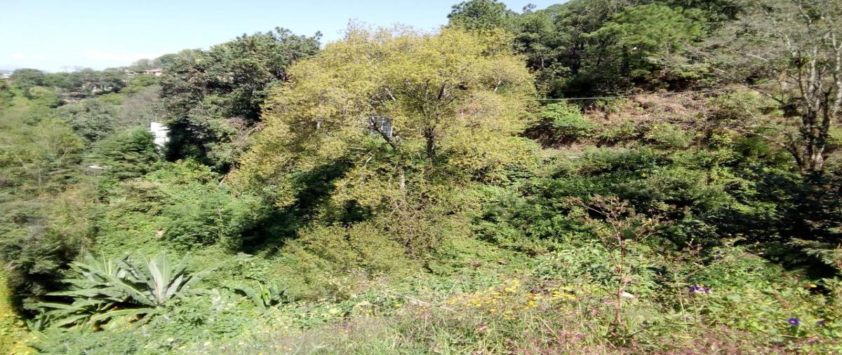 Foto de terreno habitacional en venta en ruta del bosque , avándaro, valle de bravo, méxico, 17517093 No. 04