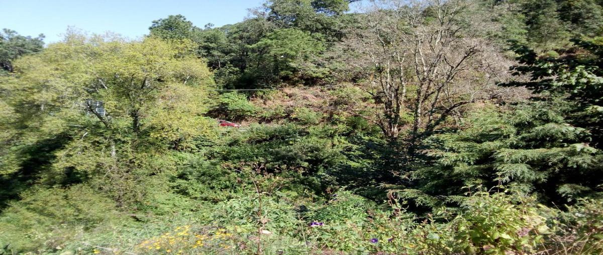 Foto de terreno habitacional en venta en ruta del bosque , avándaro, valle de bravo, méxico, 17517093 No. 05