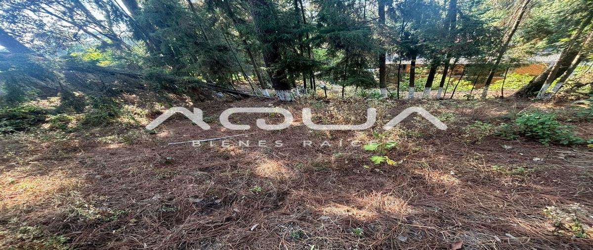 Foto de terreno habitacional en venta en ruta del bosque , avándaro, valle de bravo, méxico, 0 No. 04