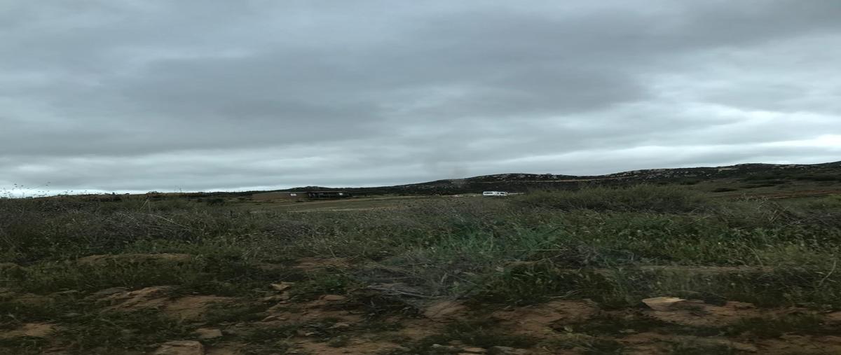 Foto de terreno habitacional en venta en ruta del vino kilometro 70 , el porvenir, ensenada, baja california, 29834035 No. 04