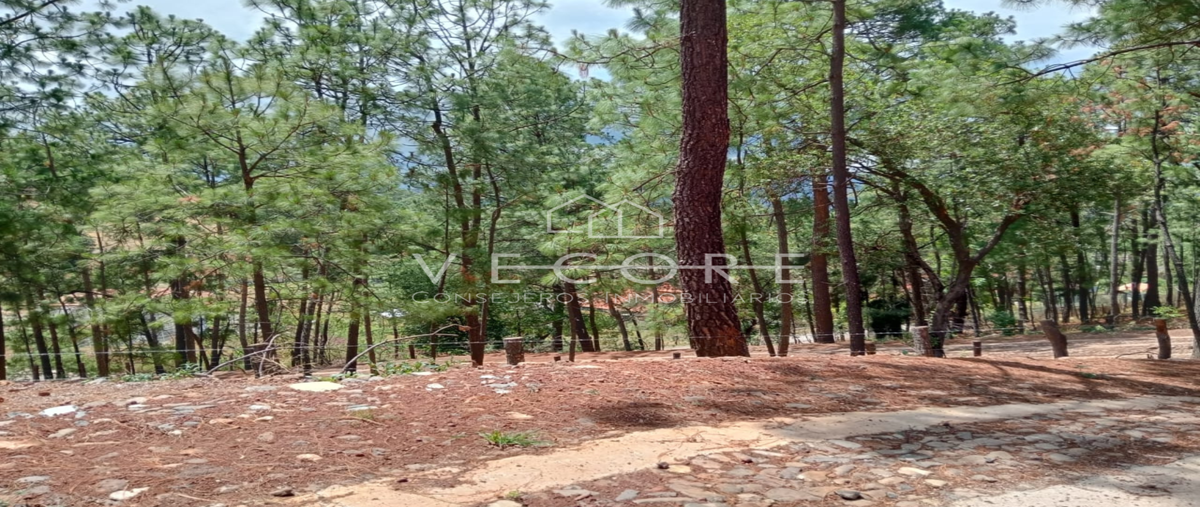 Foto de terreno habitacional en ruta eco-turística mazamitla , mazamitla, mazamitla, jalisco, 28279619 foto 03 Foto de terreno habitacional en venta en ruta eco-turística mazamitla , mazamitla, mazamitla, jalisco, 28279619 No. 03