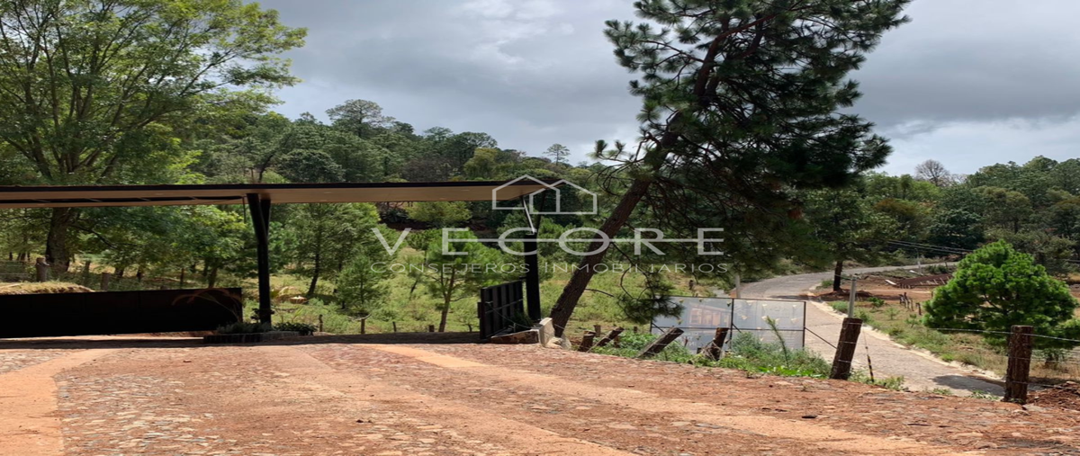 Foto de terreno habitacional en ruta eco-turística mazamitla , mazamitla, mazamitla, jalisco, 28279619 foto 04 Foto de terreno habitacional en venta en ruta eco-turística mazamitla , mazamitla, mazamitla, jalisco, 28279619 No. 04