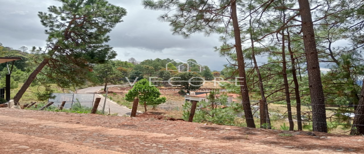 Foto de terreno habitacional en ruta eco-turística mazamitla , mazamitla, mazamitla, jalisco, 28279619 foto 05 Foto de terreno habitacional en venta en ruta eco-turística mazamitla , mazamitla, mazamitla, jalisco, 28279619 No. 05