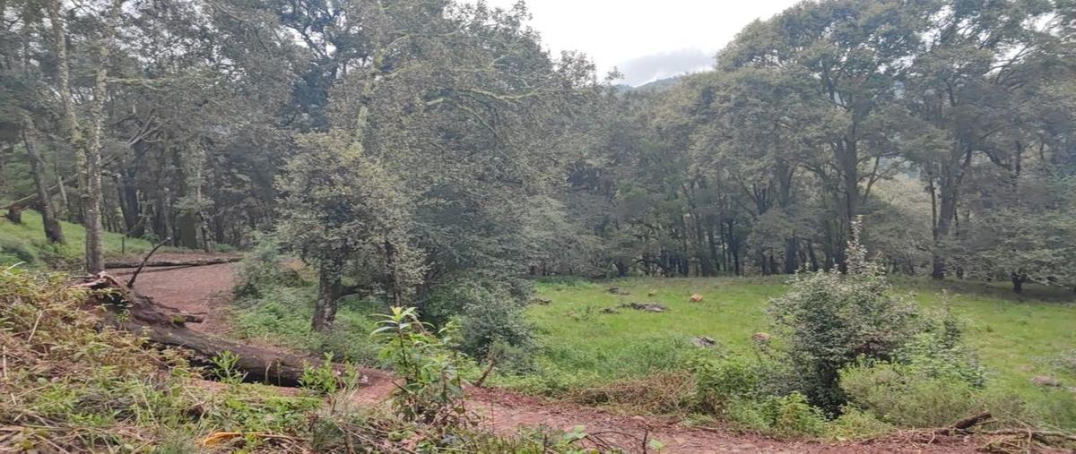 Foto de terreno habitacional en venta en ruta turistica sierra del tigre 0, valle de juárez, valle de juárez, jalisco, 0 No. 03