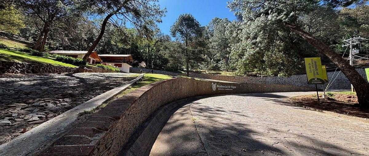 Foto de terreno habitacional en ruta turística sierra del tigre kilometro , mazamitla, mazamitla, jalisco, 30988669 foto 02 Foto de terreno habitacional en venta en ruta turística sierra del tigre kilometro , mazamitla, mazamitla, jalisco, 30988669 No. 02