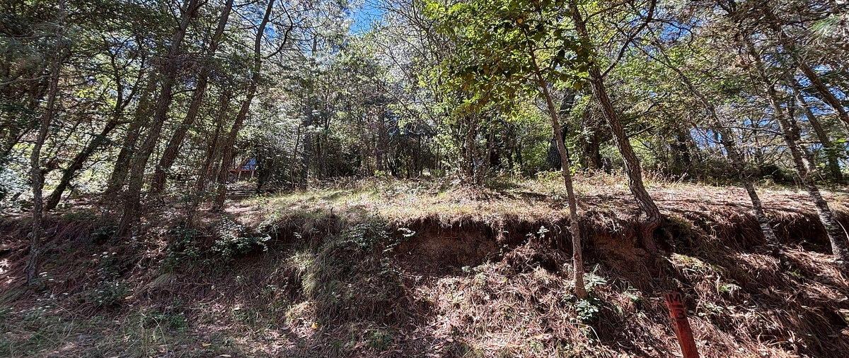 Foto de terreno habitacional en ruta turística sierra del tigre kilometro , mazamitla, mazamitla, jalisco, 30988669 foto 05 Foto de terreno habitacional en venta en ruta turística sierra del tigre kilometro , mazamitla, mazamitla, jalisco, 30988669 No. 05