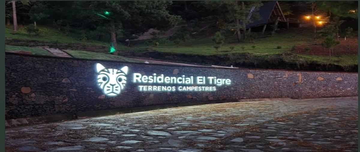 Foto de terreno habitacional en ruta turistica sierra del tigre , mazamitla, mazamitla, jalisco, 29433414 foto 02 Foto de terreno habitacional en venta en ruta turistica sierra del tigre , mazamitla, mazamitla, jalisco, 29433414 No. 02