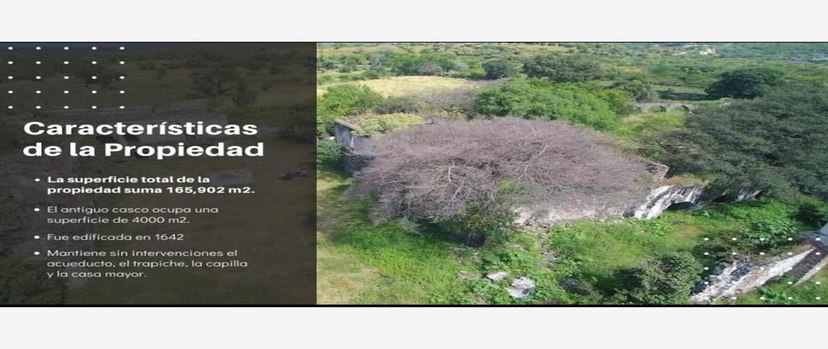 Foto de terreno comercial en venta en s , el amate, emiliano zapata, morelos, 0 No. 05