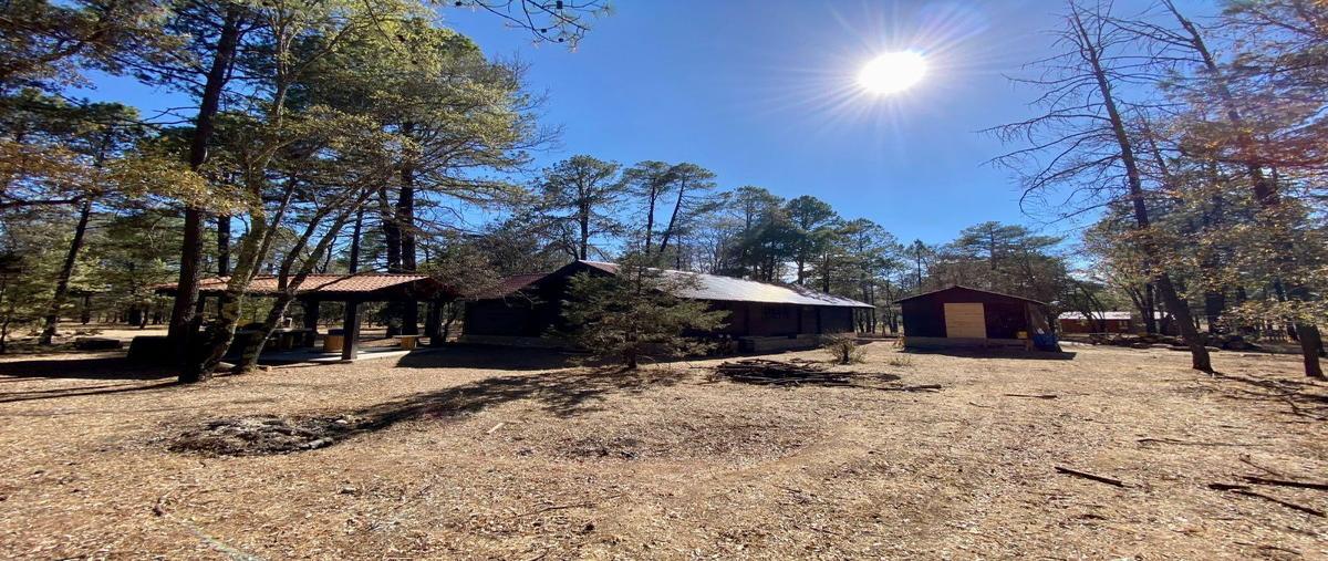 Foto de rancho en venta en s n , llano grande, durango, durango, 28011460 No. 01