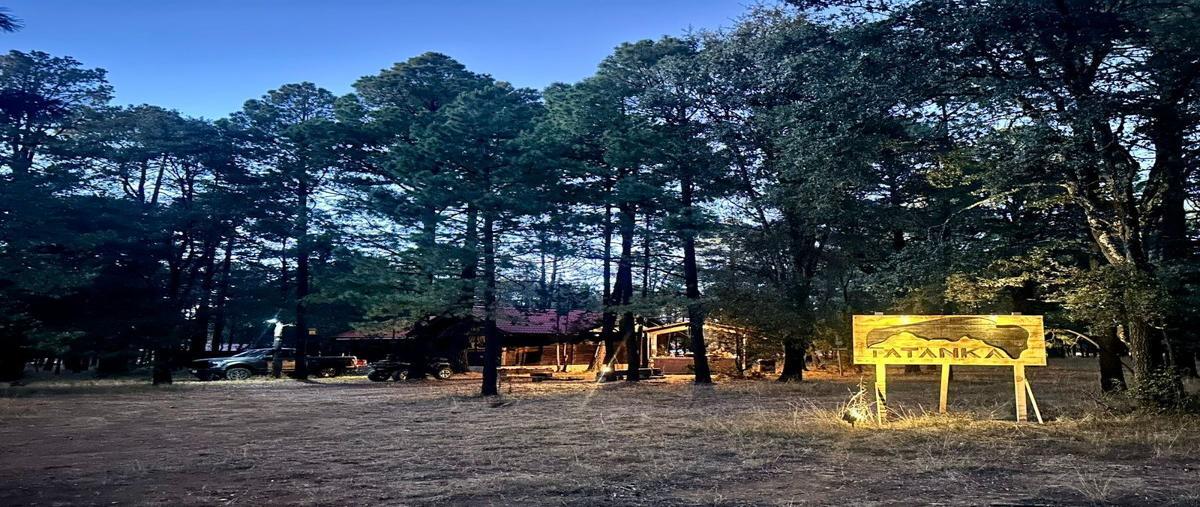Foto de rancho en venta en s n , llano grande, durango, durango, 28011460 No. 02