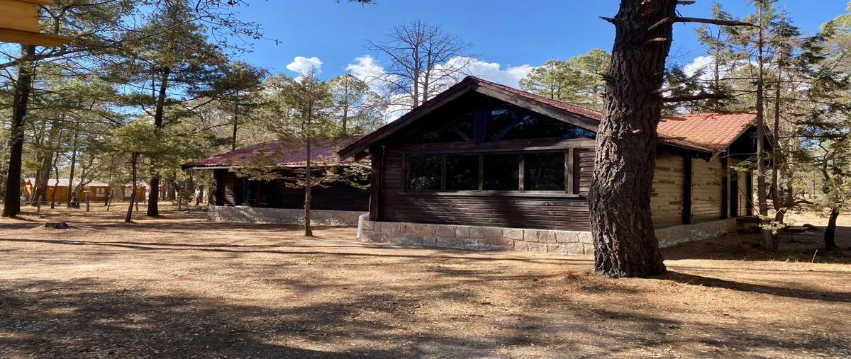 Foto de rancho en venta en s n , llano grande, durango, durango, 28011460 No. 04