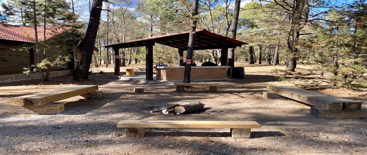 Foto de rancho en venta en s n , llano grande, durango, durango, 28011460 No. 05