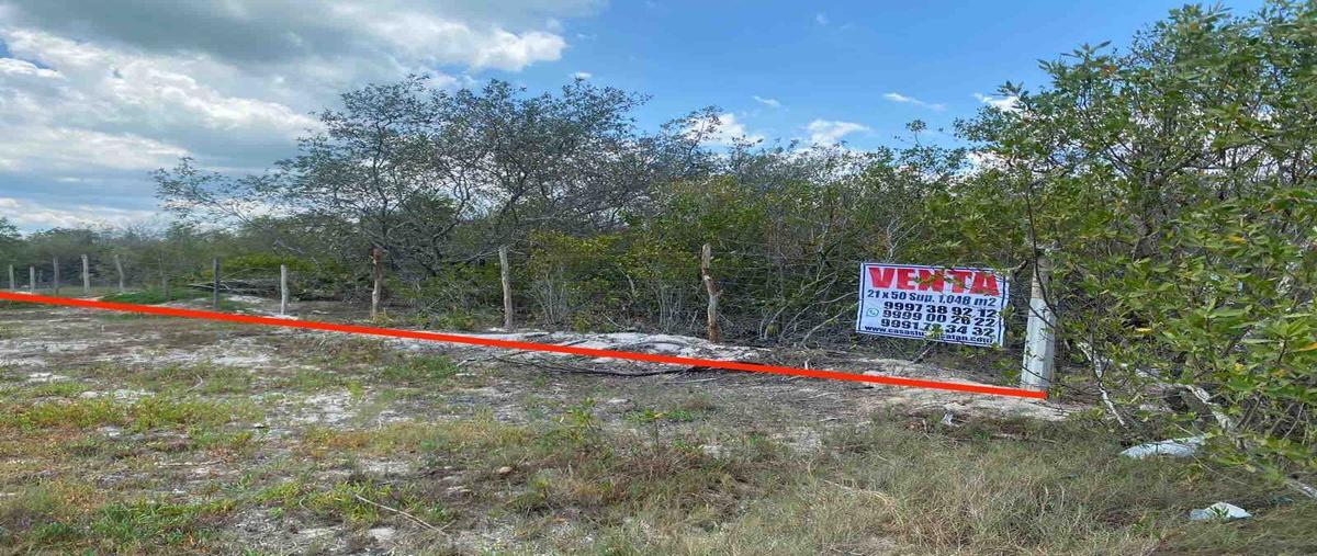Foto de terreno habitacional en venta en sabalo , isla de holbox, lázaro cárdenas, quintana roo, 26381800 No. 04