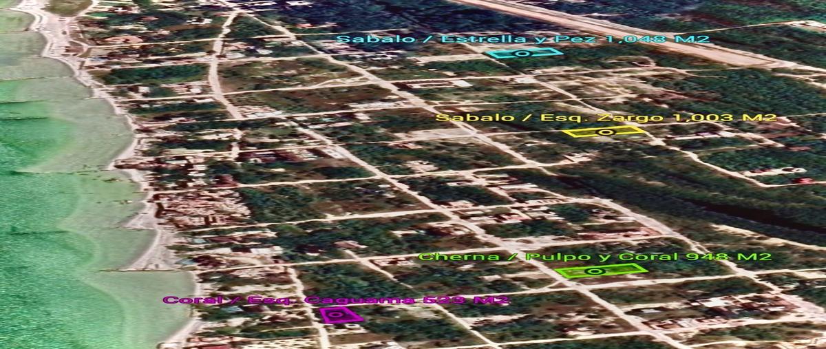 Foto de terreno habitacional en venta en sabalo , isla de holbox, lázaro cárdenas, quintana roo, 26381800 No. 05