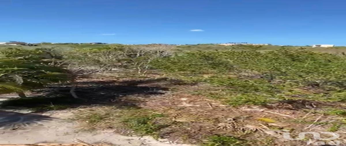 Foto de terreno habitacional en venta en sabalo , isla de holbox, lázaro cárdenas, quintana roo, 30538078 No. 04