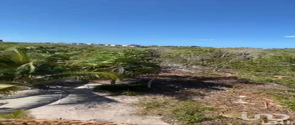 Foto de terreno habitacional en venta en sabalo , isla de holbox, lázaro cárdenas, quintana roo, 30538078 No. 05