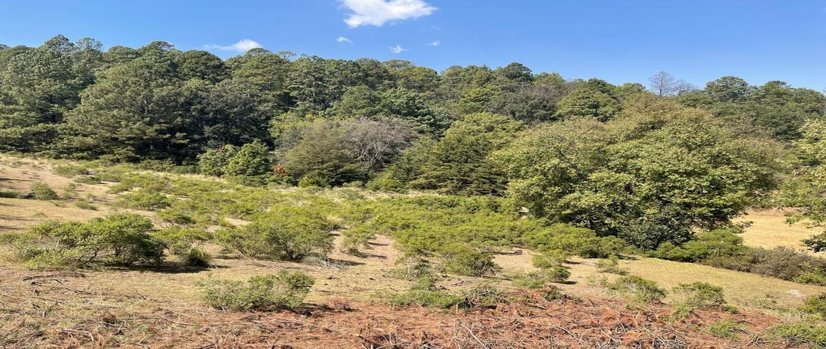 Foto de terreno habitacional en venta en  , sabana taborda primera sección, villa de allende, méxico, 0 No. 03