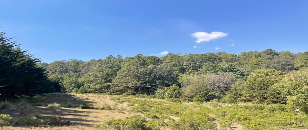 Foto de terreno habitacional en venta en  , sabana taborda primera sección, villa de allende, méxico, 0 No. 04