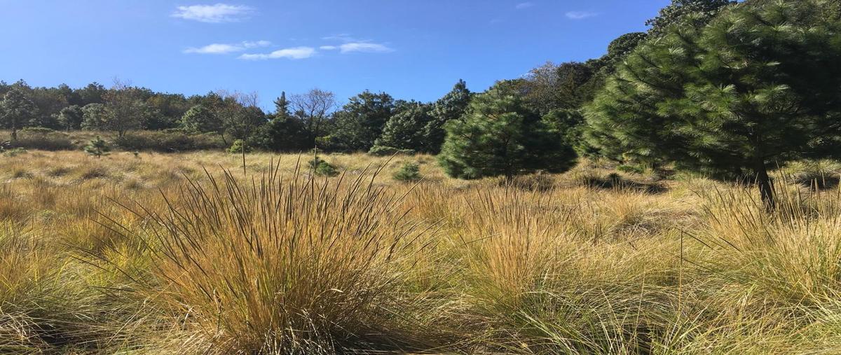 Foto de terreno habitacional en venta en  , sabana taborda primera sección, villa de allende, méxico, 0 No. 05