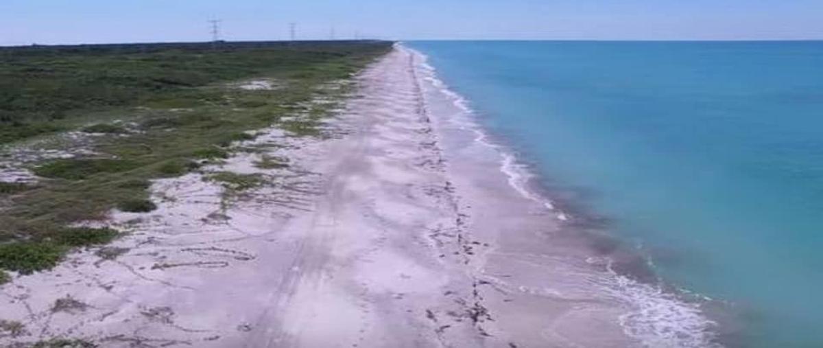 Foto de terreno habitacional en venta en  , sabancuy centro, carmen, campeche, 14343084 No. 02