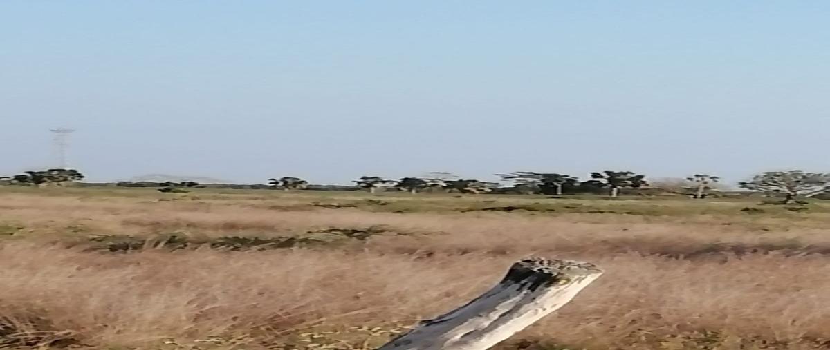 Foto de rancho en venta en  , sabancuy centro, carmen, campeche, 22458561 No. 03