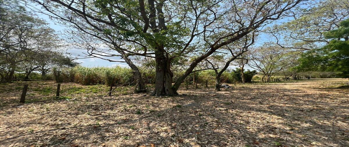 Foto de terreno habitacional en , sabancuy centro, carmen, campeche, 0 foto 02 Foto de terreno habitacional en venta en , sabancuy centro, carmen, campeche, 0 No. 02