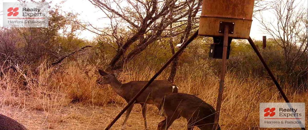 Foto de terreno habitacional en venta en  , sabinas hidalgo, sabinas hidalgo, nuevo león, 30931553 No. 04