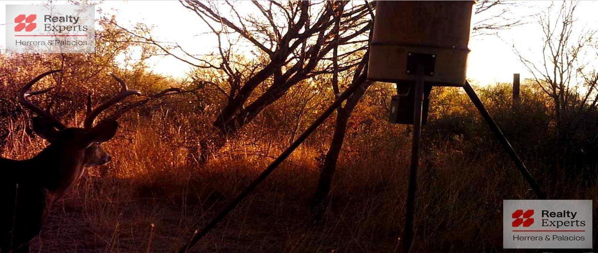 Foto de terreno habitacional en venta en  , sabinas hidalgo, sabinas hidalgo, nuevo león, 0 No. 05