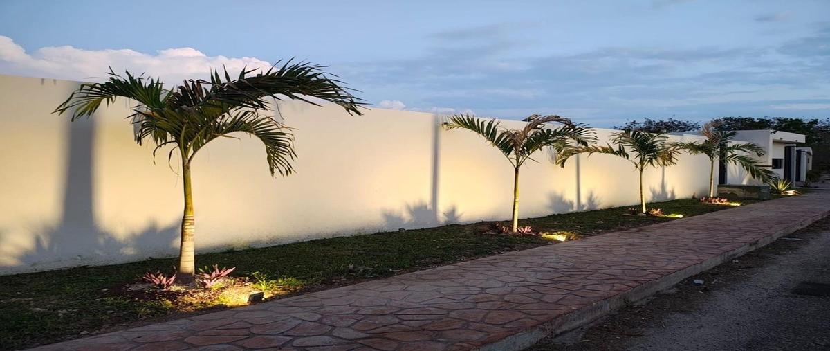 Foto de terreno habitacional en sac chacá paseo norte , santa gertrudis copo, mérida, yucatán, 24727502 foto 03 Foto de terreno habitacional en venta en sac chacá paseo norte , santa gertrudis copo, mérida, yucatán, 24727502 No. 03