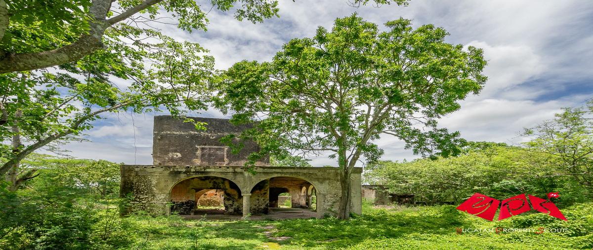 Foto de rancho en venta en sac nicte , dzibikak, umán, yucatán, 0 No. 03