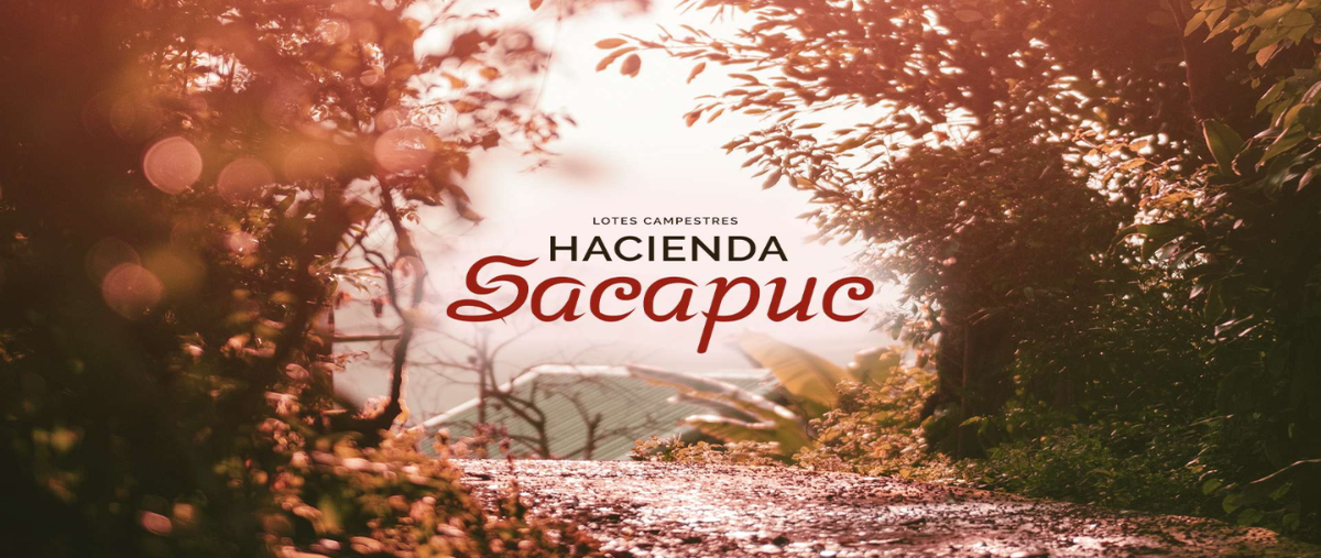 Foto de terreno habitacional en , sacapuc, motul, yucatán, 27496560 foto 03 Foto de terreno habitacional en venta en , sacapuc, motul, yucatán, 27496560 No. 03