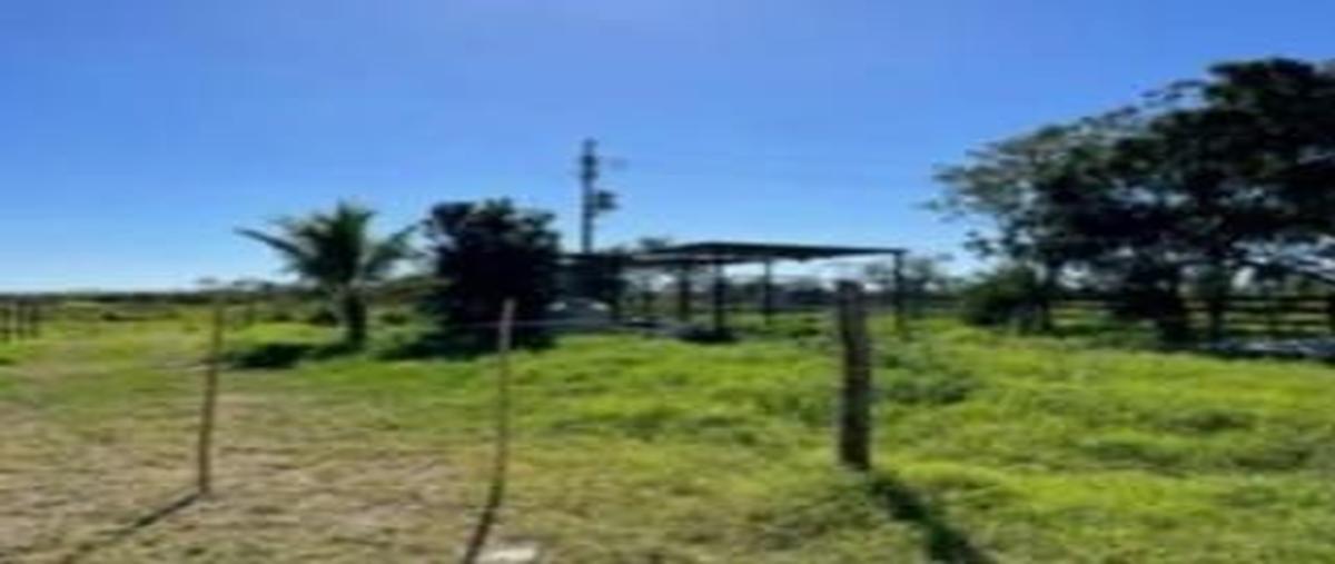 Foto de rancho en venta en  , sacapuc, motul, yucatán, 27873997 No. 04