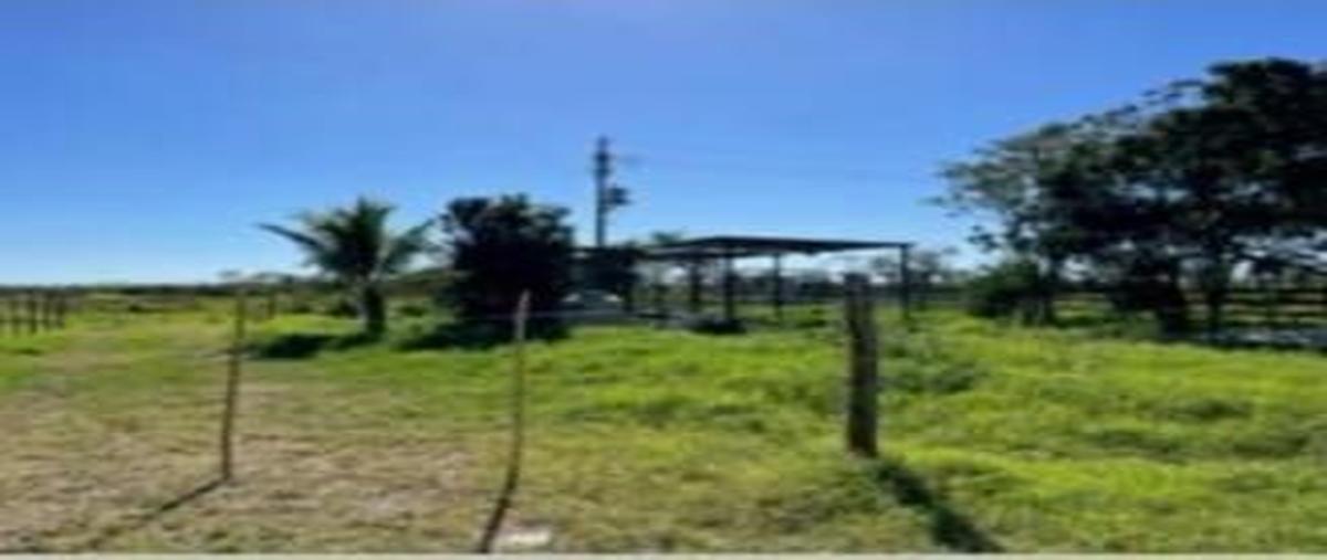 Foto de rancho en venta en  , sacapuc, motul, yucatán, 27873997 No. 05