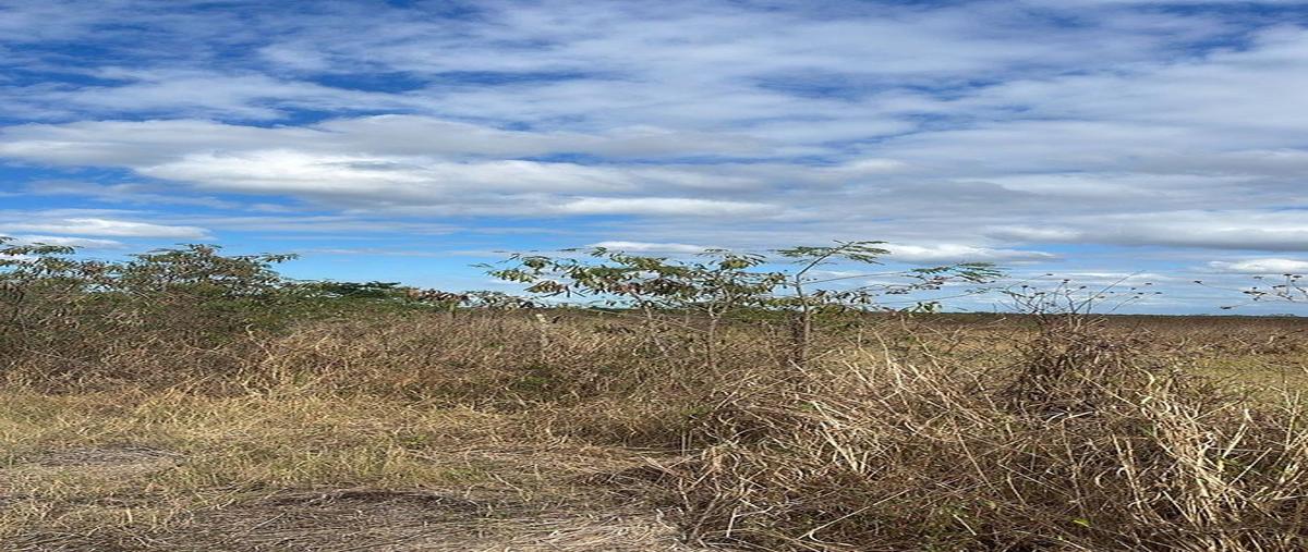 Foto de terreno habitacional en venta en  , sacapuc, motul, yucatán, 0 No. 04
