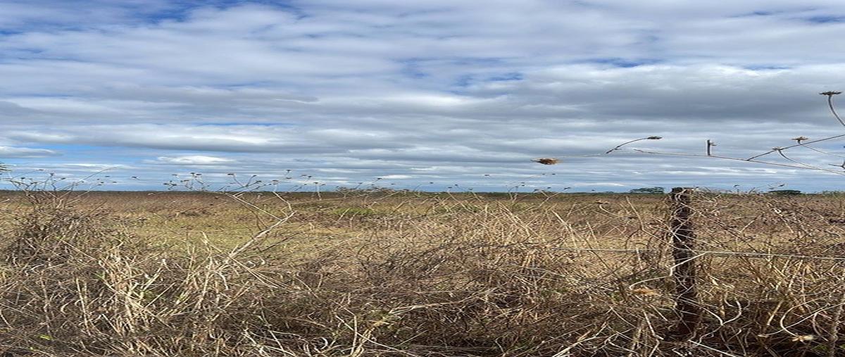 Foto de terreno habitacional en venta en  , sacapuc, motul, yucatán, 0 No. 05