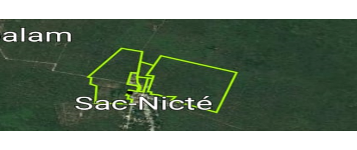 Foto de terreno habitacional en , sac-nicte, mérida, yucatán, 0 foto 01 Foto de terreno habitacional en venta en , sac-nicte, mérida, yucatán, 0 No. 01