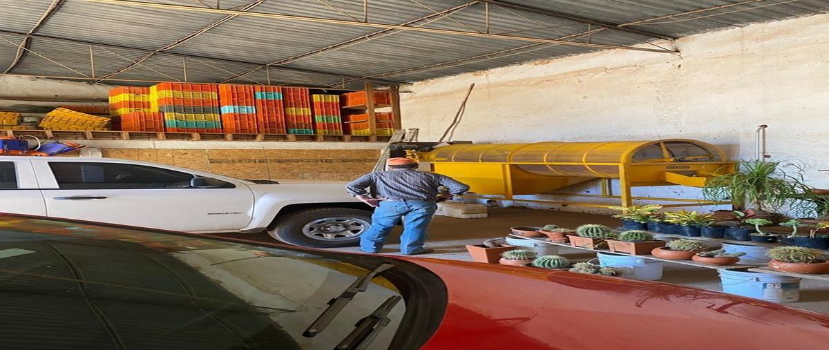 Foto de rancho en , sacramento i y ii, chihuahua, chihuahua, 27246334 foto 05 Foto de rancho en venta en , sacramento i y ii, chihuahua, chihuahua, 27246334 No. 05