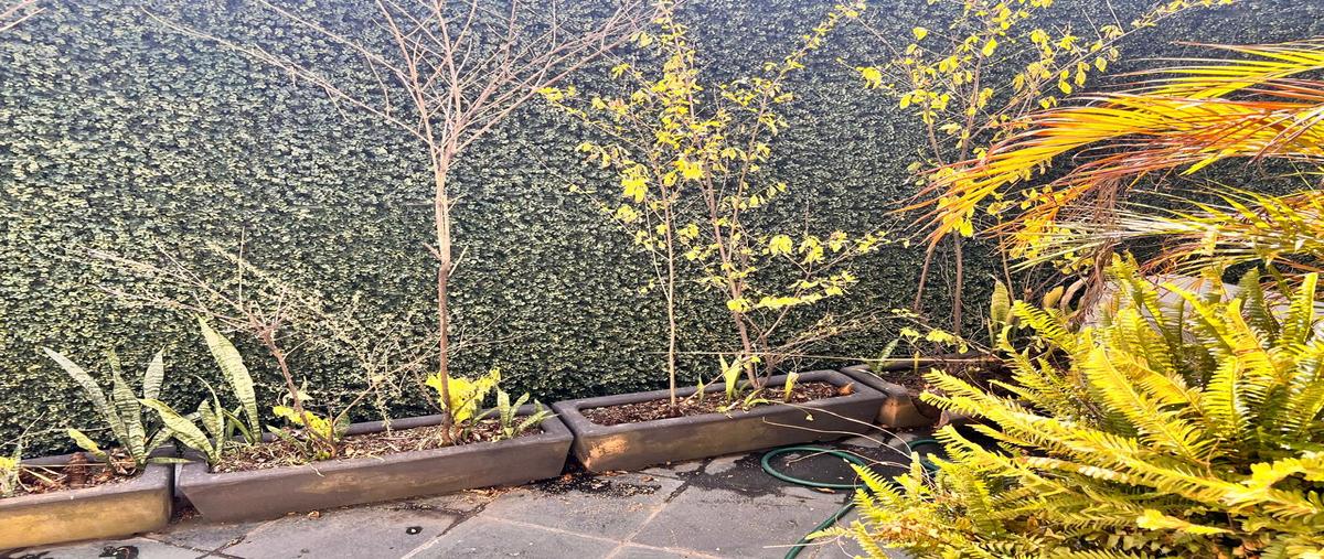 Foto de oficina en renta en sagredo , guadalupe inn, álvaro obregón, df / cdmx, 0 No. 05