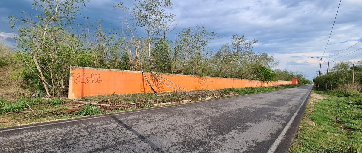 Foto de terreno habitacional en venta en sahe whi306486, sahe, tixpéhual, yucatán, 0 No. 05