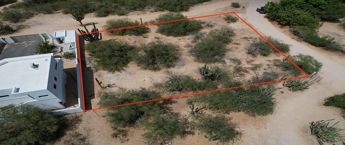Foto de terreno habitacional en venta en sahuaro , la ventana, la paz, baja california sur, 31057569 No. 04