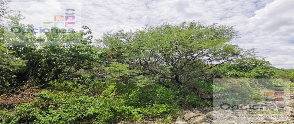 Foto de terreno habitacional en venta en  , salamanca centro, salamanca, guanajuato, 30303300 No. 03