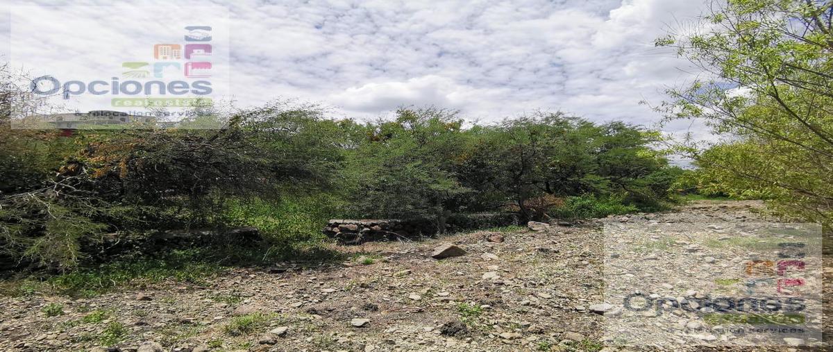 Foto de terreno habitacional en venta en  , salamanca centro, salamanca, guanajuato, 30303300 No. 04