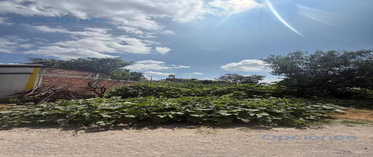 Foto de terreno habitacional en venta en  , salamanca centro, salamanca, guanajuato, 0 No. 03