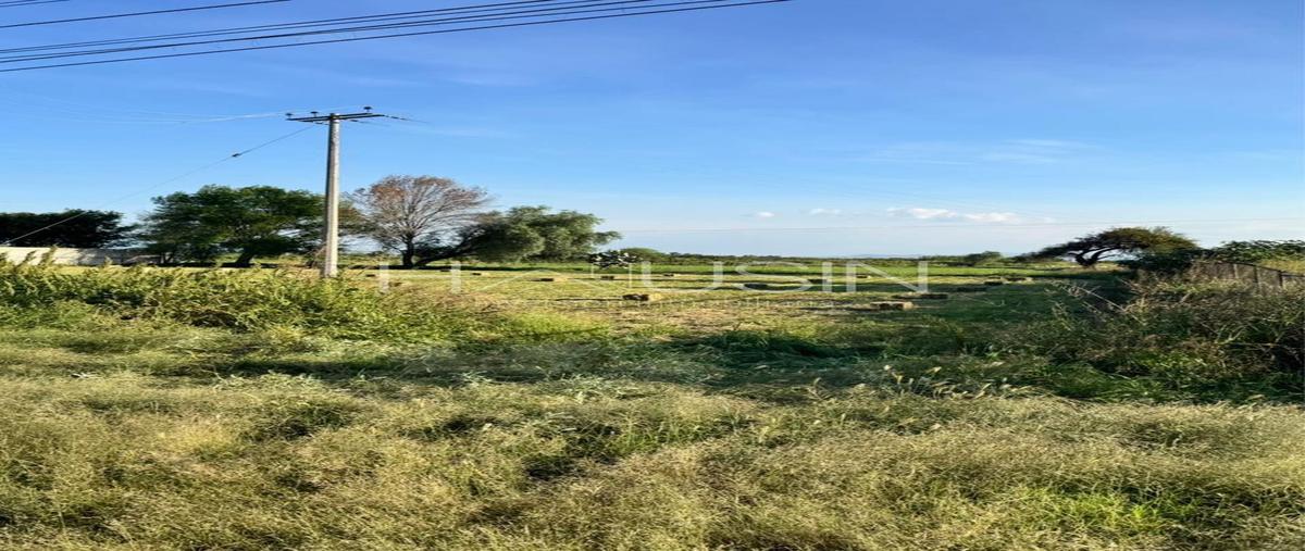Foto de terreno habitacional en venta en  , salamanca centro, salamanca, guanajuato, 0 No. 05