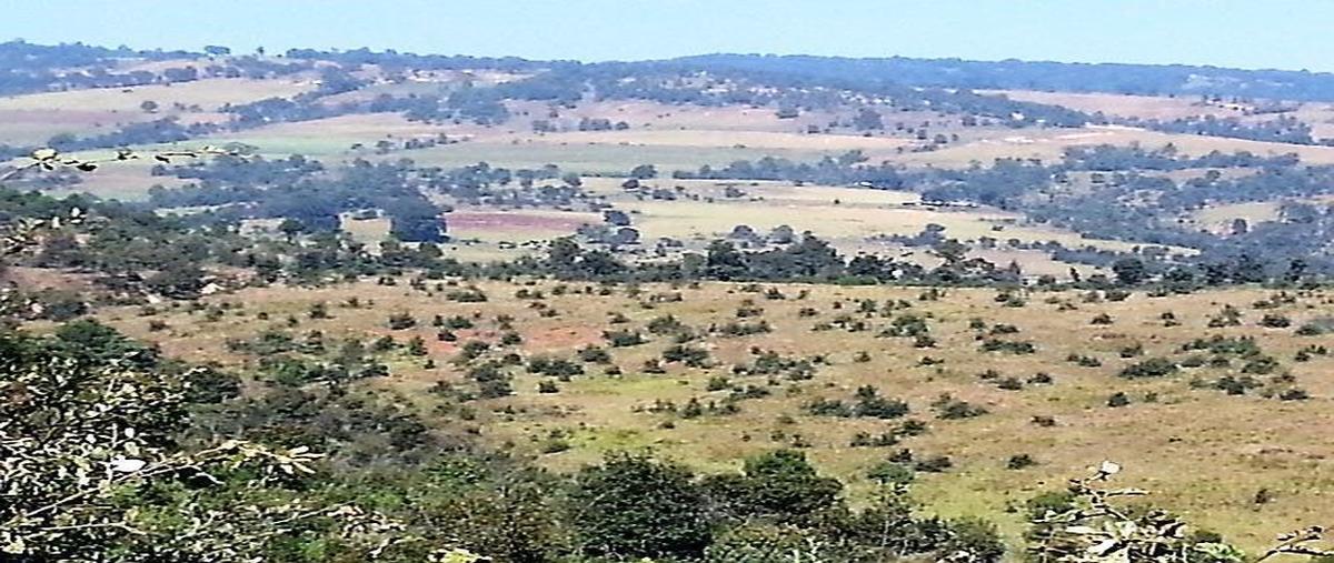 Foto de terreno habitacional en venta en salazar i , unidad magisterial, nicolás romero, méxico, 28393098 No. 03