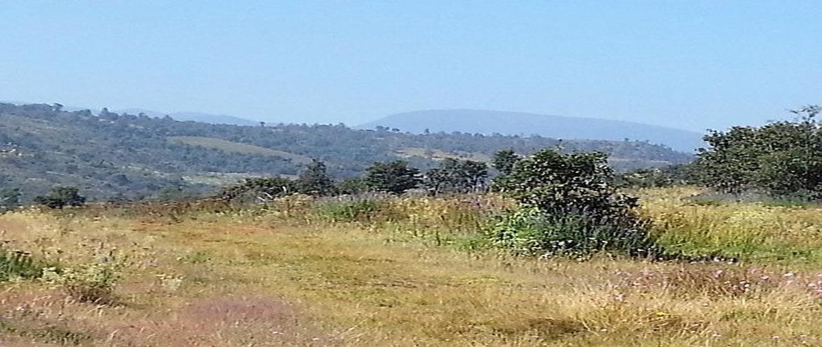 Foto de terreno habitacional en venta en salazar i , unidad magisterial, nicolás romero, méxico, 28393098 No. 04