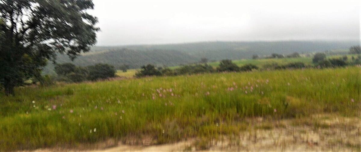 Foto de terreno habitacional en venta en salazar i , unidad magisterial, nicolás romero, méxico, 28393098 No. 05